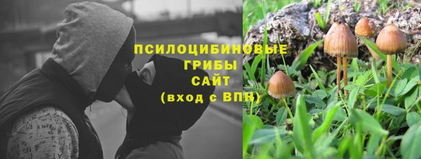 молекула духа Армянск